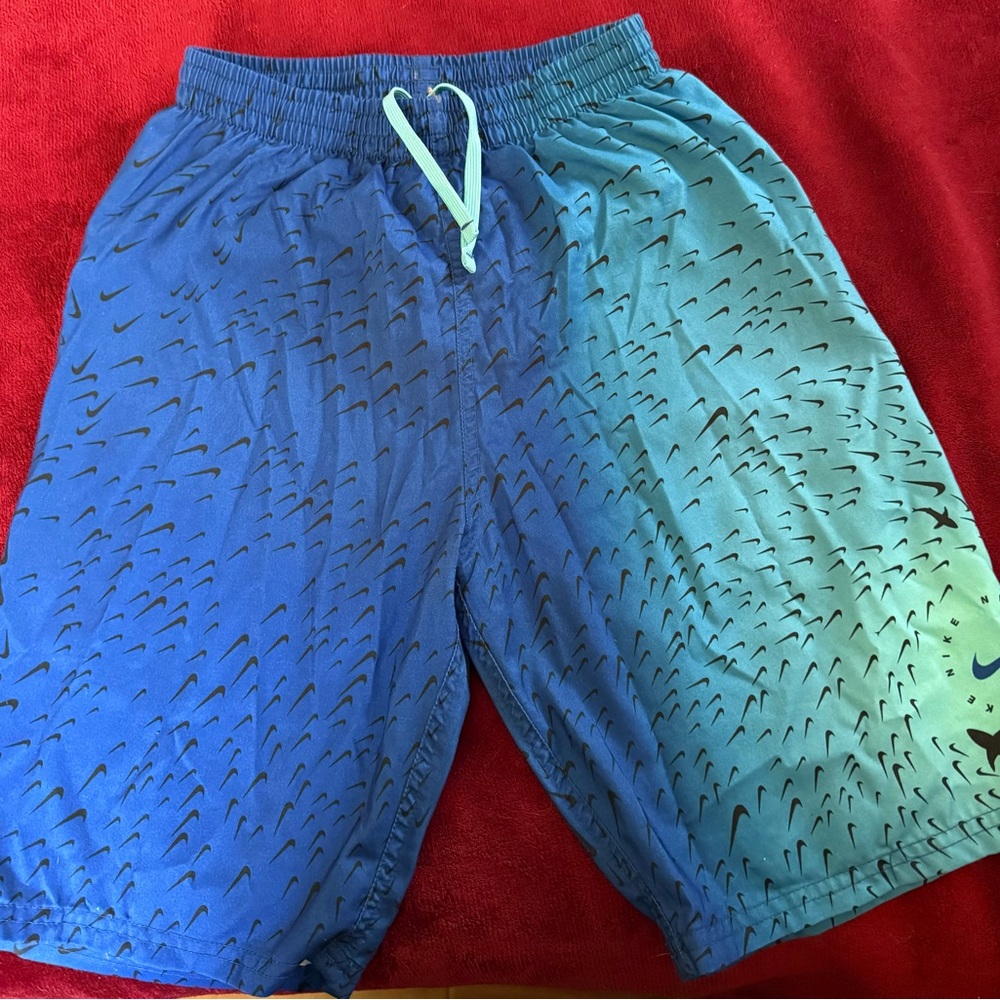 Kids Blue and Green Nike Shorts size XL